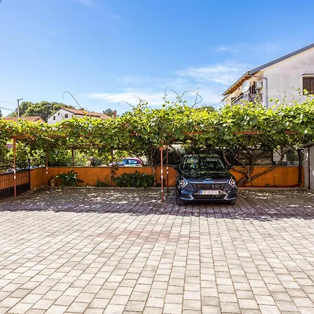 Luxury Gina 로비니